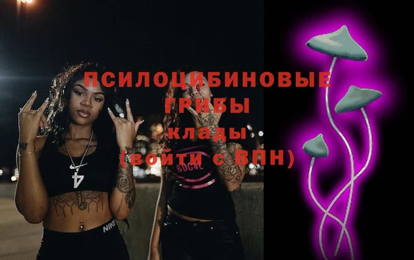 спиды Котовск