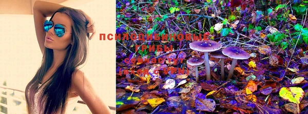 метадон Осинники