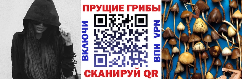 omg маркетплейс  Майский  Галлюциногенные грибы ЛСД 