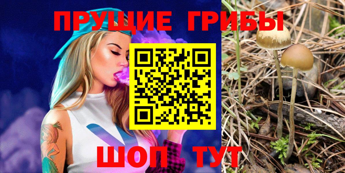 Галлюциногенные грибы ЛСД Майский