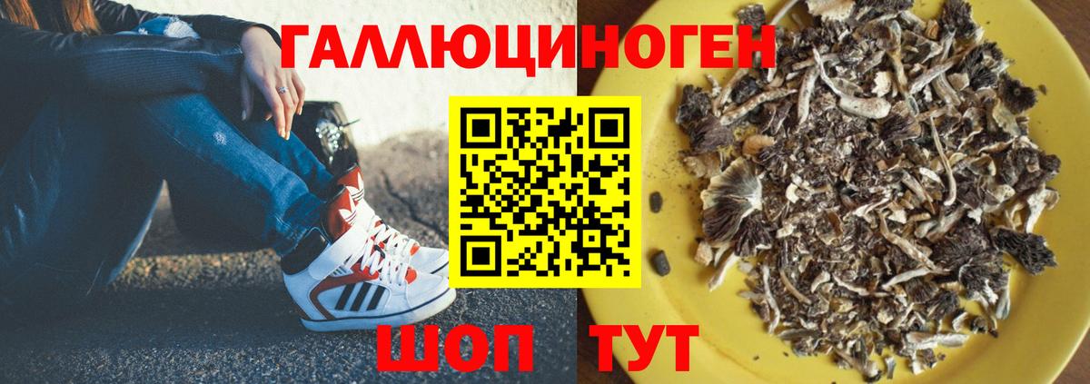 Майский  Галлюциногенные грибы MAGIC MUSHROOMS  как найти наркотики  Вход с VPN 
