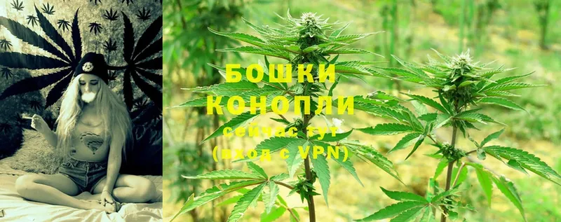 где продают наркотики  Майский  Марихуана OG Kush 